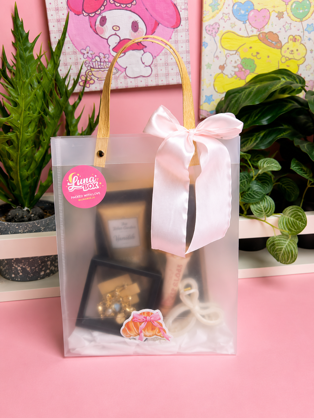 Luxury & Jewelry Gift Bag
