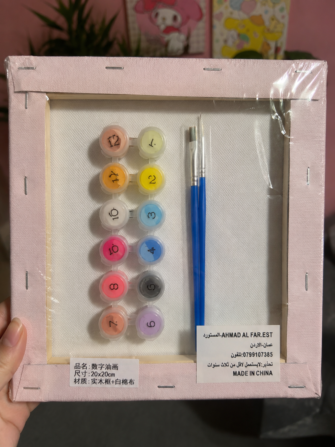 Cute Paint by Numbers Canvas Kit